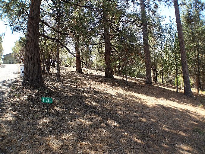 1st image of 12020 Hillhurst Cir