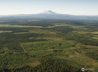 981 W Homer Adams Road, Elma, WA 98541