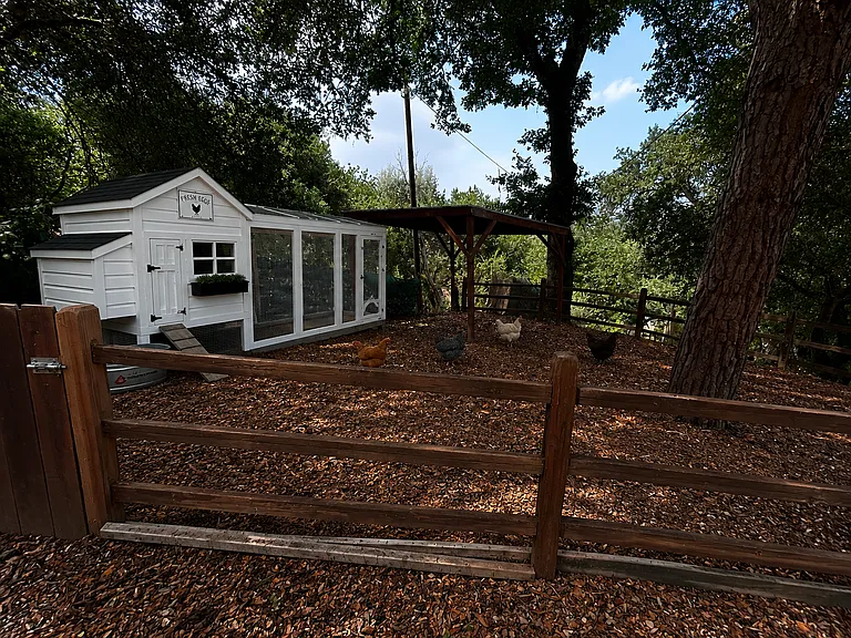 Madrone Rd — Photo 8