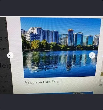gorgeous views, white swans and walking path around Lake Eola