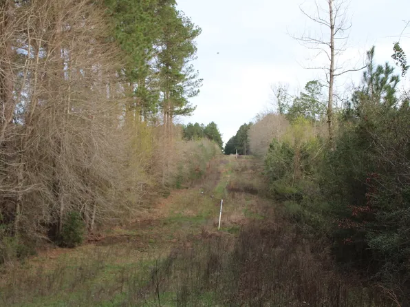 Highway 583 Lot Wp001, Jayess, MS 39641