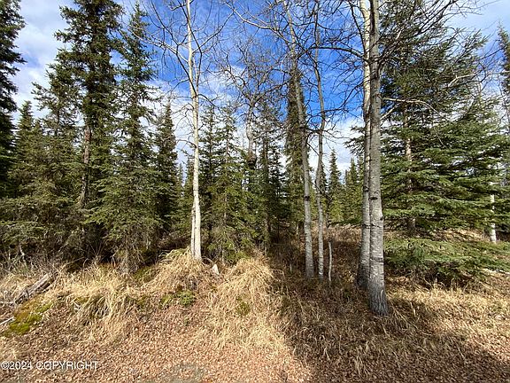 5th image of 20072 Crooked Creek Rd