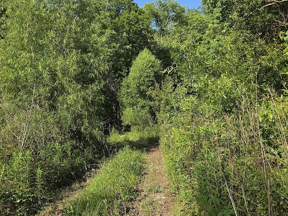 1st image of 18617 Manchac Point Rd