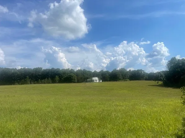 0 Tennessee Ridge Rd, Waverly, TN 37185