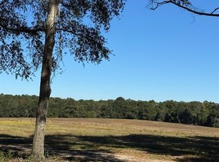 429 E Skyline Ave, Geneva, AL 36340