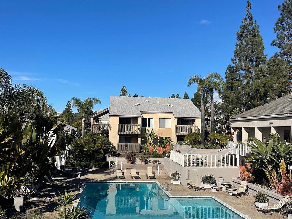 Direct view of pool, spa and sky.