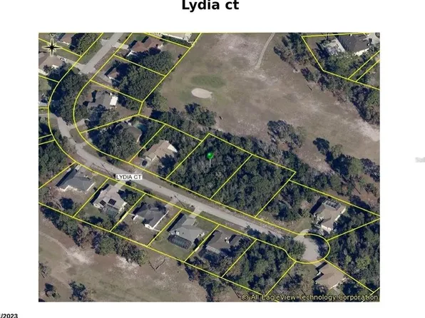 Lydia Ct, Spring Hill, FL 34608