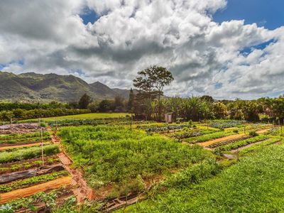 6235 Koolau Rd, Anahola, HI, 96703