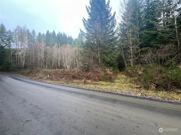 126 Cropsey Drive, Randle, WA 98377