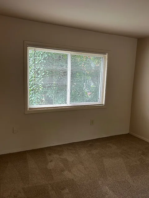 Southern Terrace — Photo 4