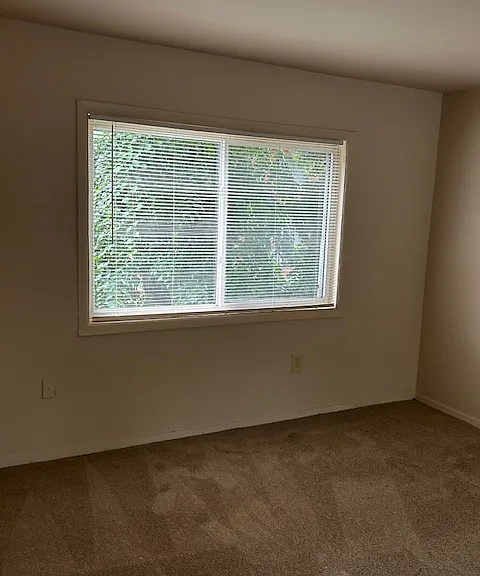 Southern Terrace — Photo 4