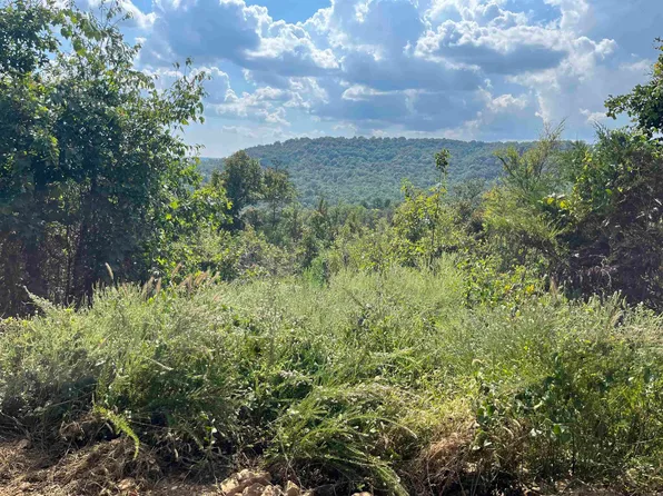2314 Little Red River Rd, Marshall, AR 72650