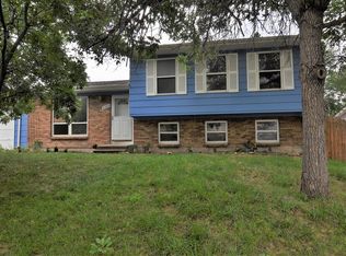 4390 S Wright Ct, Morrison, CO 80465