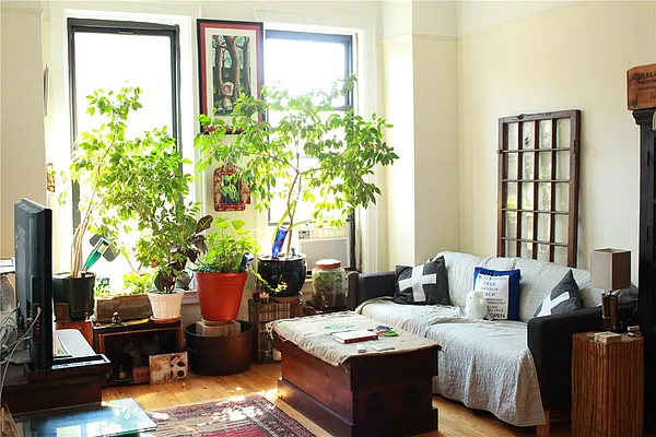 Rented by Space Marketing Shop | media 11