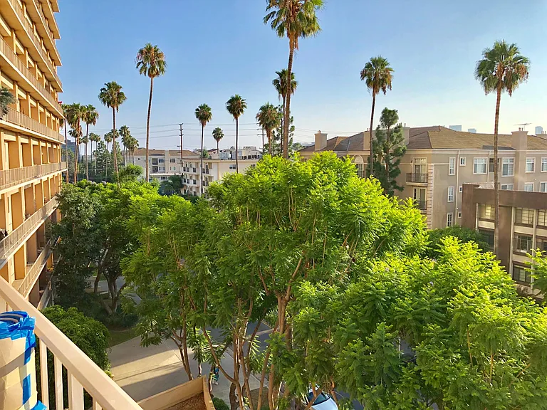 100 S Doheny Dr #523 — Photo 35