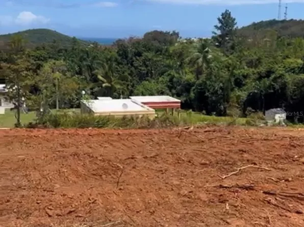 Bo Saco Rio Abajsr 975 Km Lot 3-2.5, Ceiba, PR 00735