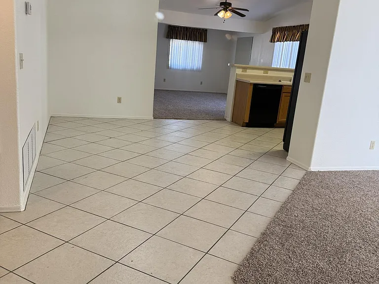 2946 W Ring Tail Dr — Photo 4