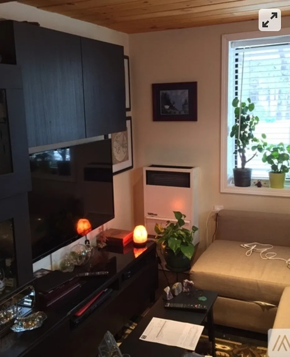 1 bed, 700 sqft, $1,299 — Photo 2
