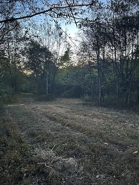 2nd image of 0 Battle Rd Lot 1B