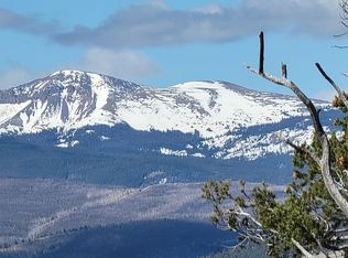 1411 Middle Fork Vis, Fairplay, CO 80440