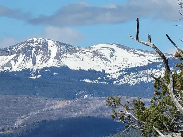 1411 Middle Fork Vis, Fairplay, CO 80440