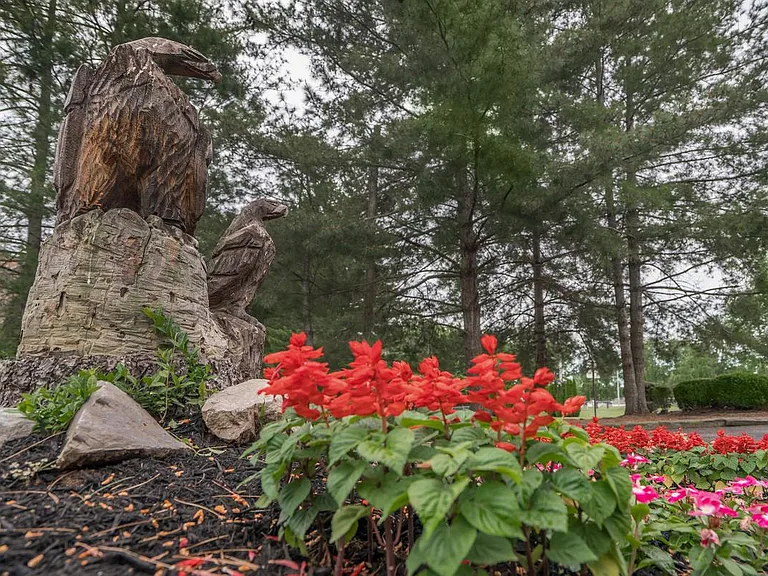BEAUTIFUL LANDSCAPING AT EAGLES CREST AT WALLACE