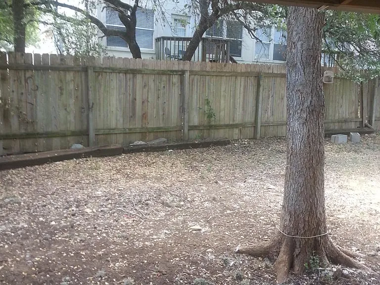 Back yard