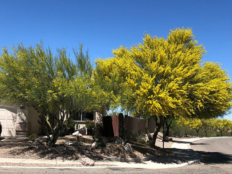 1st image of 3152 W Via Campana De Oro