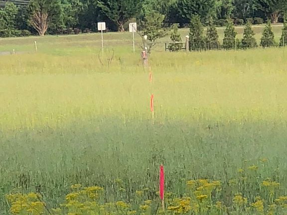 3rd image of Zell Miller Mountain Pkwy