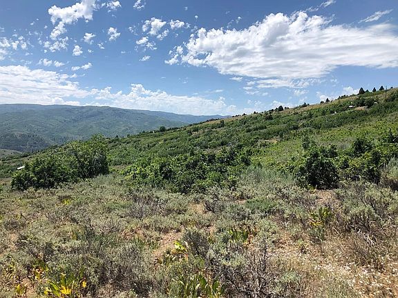 4th image of 3474 N Live Oak Rd E