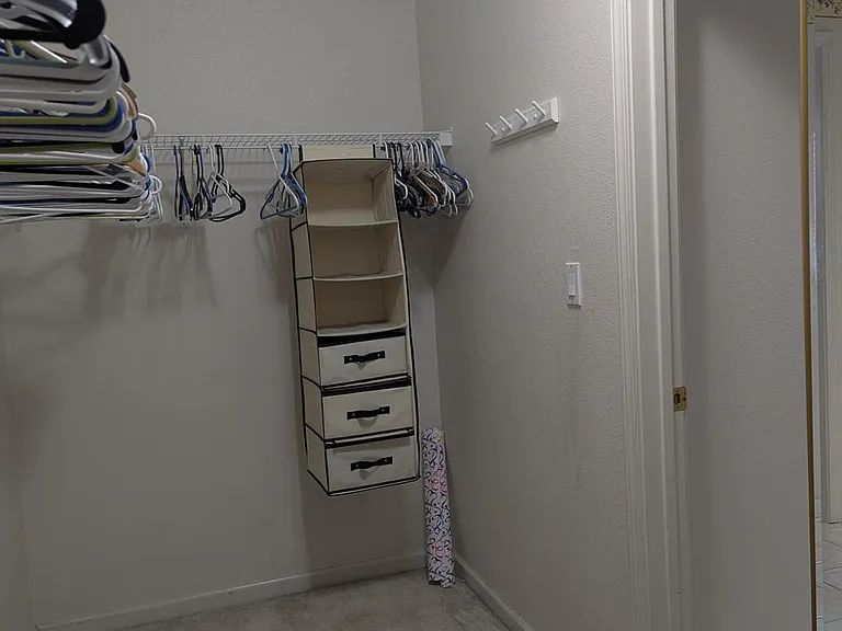 Closet in Master
