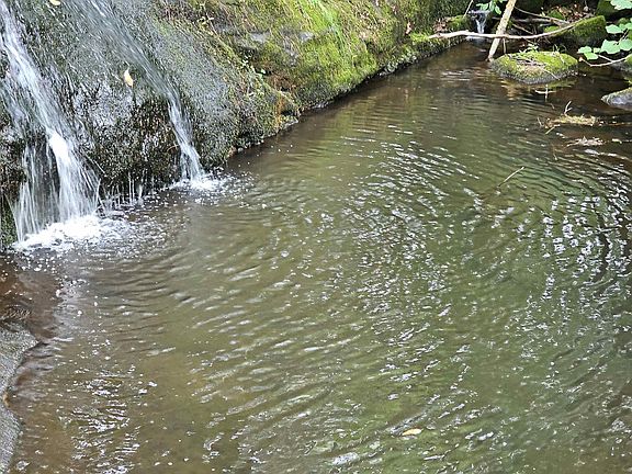 5th image of 1905 Turkey Mountain Road