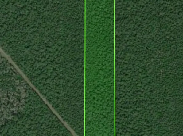 County Road 770, Kountze, TX 77625