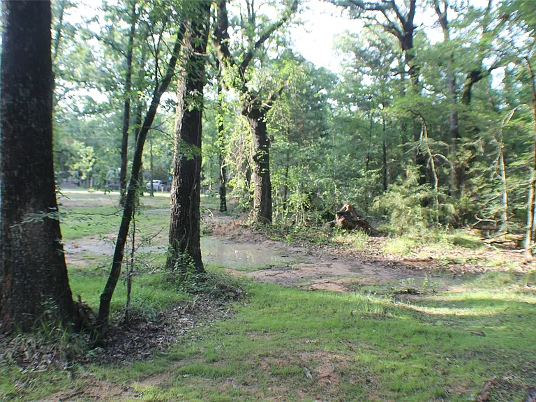 148 Golden Oaks Dr — Photo 11