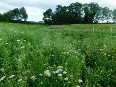 0000 ROLLING HILLS RD, Viroqua, WI, 54665