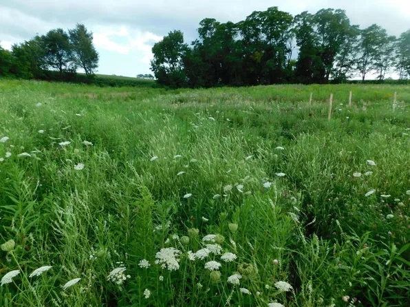 0000 ROLLING HILLS RD, Viroqua, WI 54665