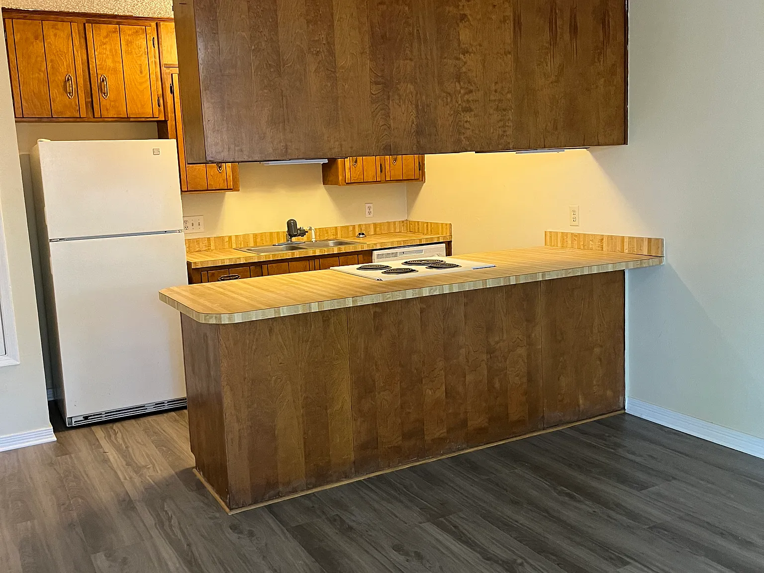 3 bed, 1100 sqft, $1,600 — Photo 4