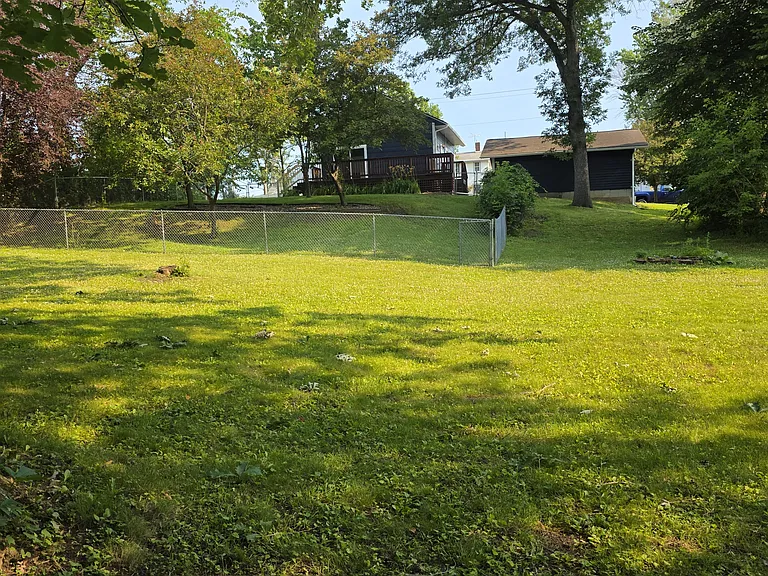View from the back of the yard