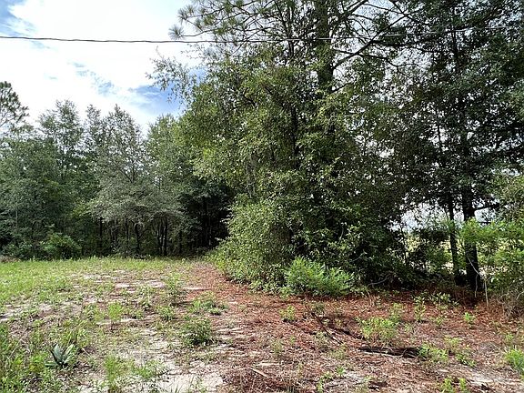 4th image of 6119 NW 20th Ave
