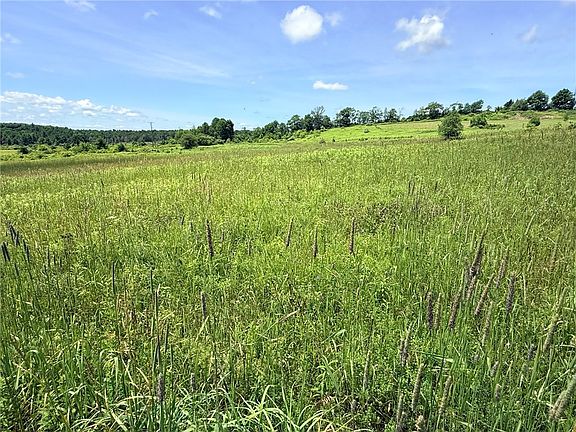 4th image of L19 N Pond Rd Lot 19