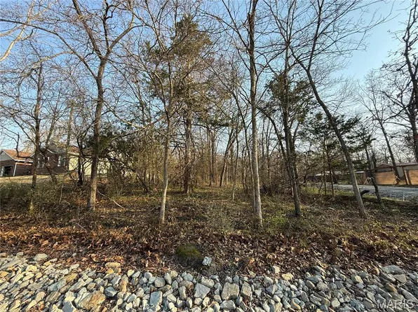 411 S Deer Trl, Fredericktown, MO 63645