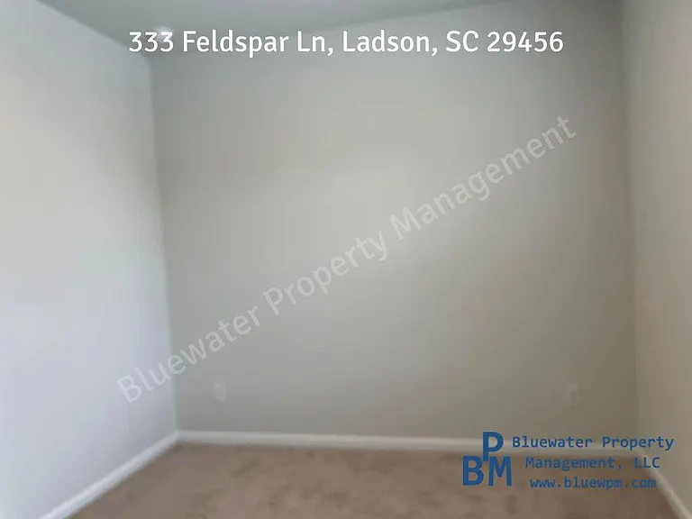 333 Feldspar Ln — Photo 4