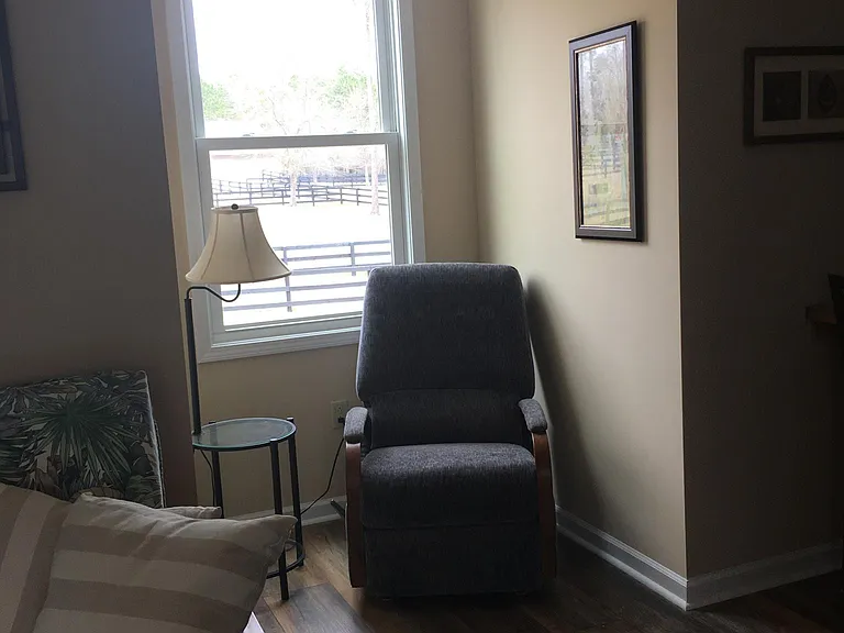 207 Three Runs Plantation Dr — Photo 6