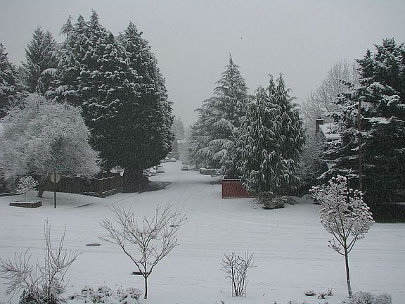 Looking out the front window