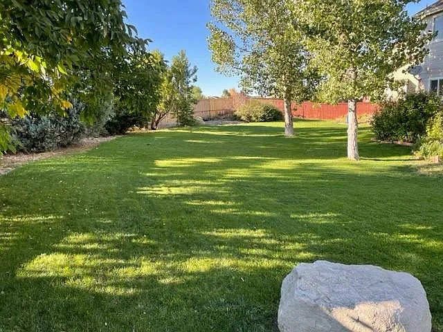 backyard view - 4290 Ravenswood Ct