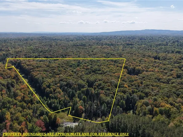 78 Culver Brook Rd, Boonville, NY 13309