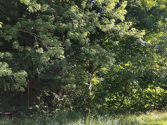 3rd image of 1504 Winthrop Ct Lot 2