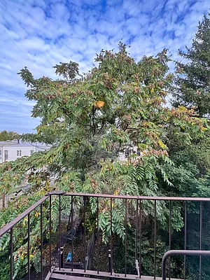 Rented by Pear NYC LLC | media 31