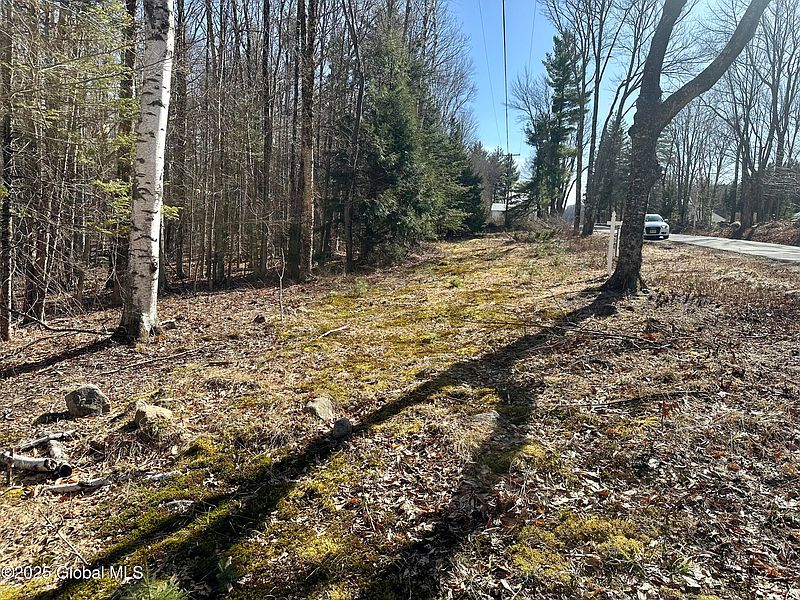 3rd image of L-19 SW States Road