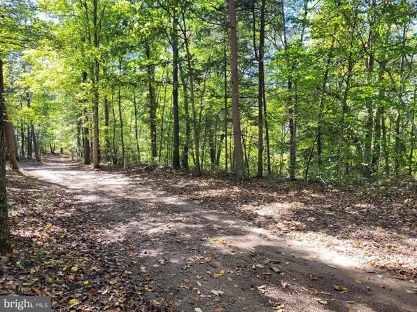 0 Tamarack Cv, Rixeyville, VA 22737